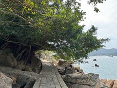 -东澳岛