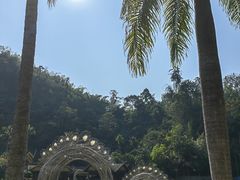 -西双版纳原始森林公园