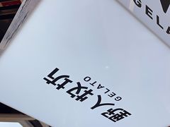 -野人先生现做冰淇淋(西安赛格店)