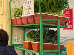 -山东宾馆·齐鲁苑餐厅