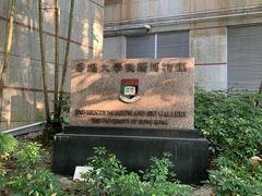 -香港大学
