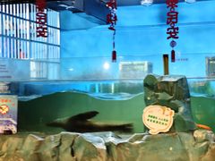 -常州海昌海洋探索馆