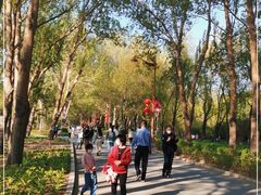 -长春公园(普阳街道)