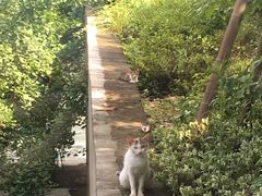 -宁波九龙湖开元度假村
