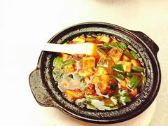 -陈麻婆豆腐总店