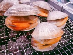文贝-马路牙子烧烤音乐酒馆(望京店)