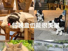 -自由生长植物工作室(深港花卉中心店)