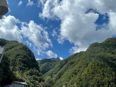 -牛背梁国家森林公园