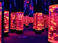 -成都浩海立方海洋公园