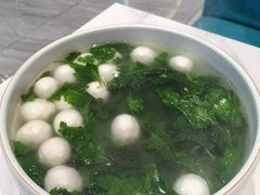 -丁老爷子苏香圆