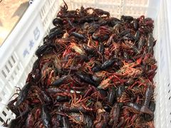 -盒马鲜生(宝地店)