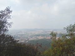 -紫金山天文台