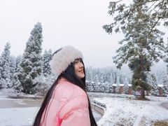 -武陵山森林公园