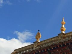 -达仓郎木寺院