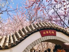 -桃花堤公园