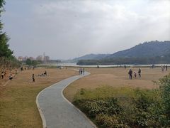 -风云岭森林公园