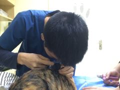 -芭比堂动物医院广州顽皮分院