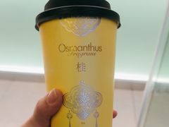 -爷爷不泡茶 NOYEYENOTEA(长沙五江天街店)