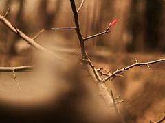 -白鹭湾湿地公园