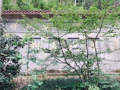 -东天目山风景区