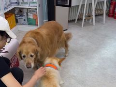 -纳吉亚猫专科动物医院·北北分院