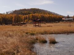 -塞罕坝国家级自然保护区