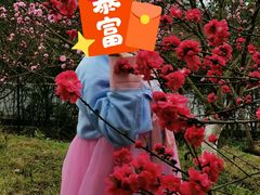 -秀丽东方