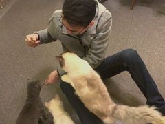 -猫色咖啡·猫咖
