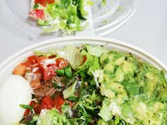 -油梨树AVOCADO TREE(顺义新国展店)