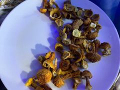 -千岛蚝高压锅生蚝·人参火锅(白云万达店)