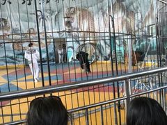 android_upload_pic-新疆天山野生动物园