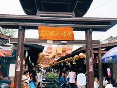 -茯茶镇