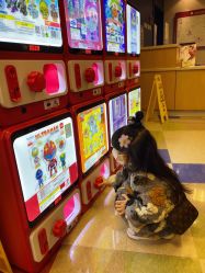 -北京新世纪儿童医院