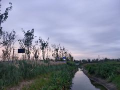 -乌村
