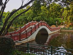 -深圳龙潭公园