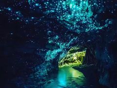 -怀托摩萤火虫洞