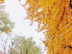 -大连人民广场