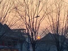 -原麦山丘(东四店)