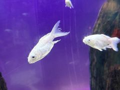 -常州海昌海洋探索馆