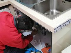 -百姓装潢(漕宝店)