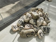 -金泽21世纪美术馆