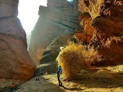 -天山神秘大峡谷