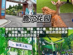 -老鼎万春卤菜(五代传承创始老店)