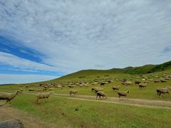 -塞罕坝国家级自然保护区