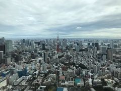-六本木新城展望台(东京城市景观)