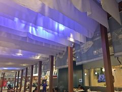 -半岛听涛蒸汽海鲜自助(K11店)