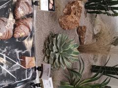 -OUR Bakery(SKP-S店)