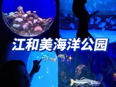 -江和美海洋公园