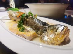 清蒸石斑鱼-大鸽饭(岗顶店)
