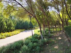 -永定河休闲森林公园